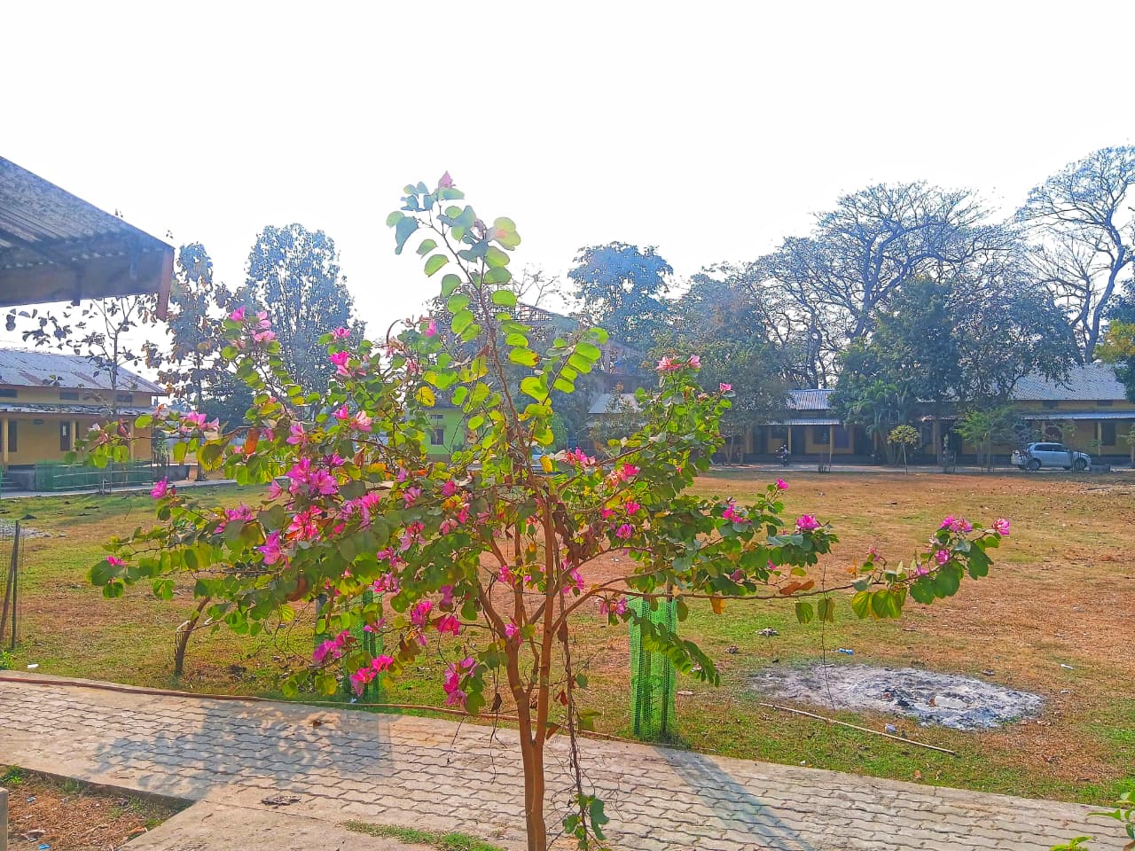 College Campus